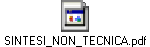 SINTESI_NON_TECNICA.pdf