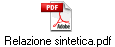 Relazione sintetica.pdf