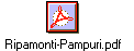 Ripamonti-Pampuri.pdf