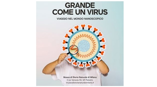 Grande come un virus: Museo di Storia Naturale fino al 7 febbraio 2025