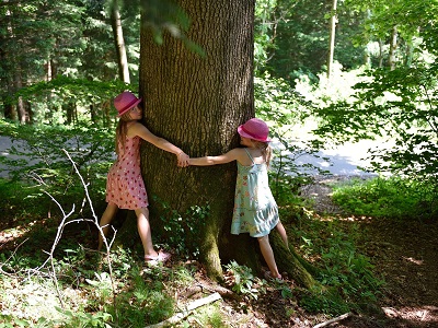 Giornata nazionale degli alberi